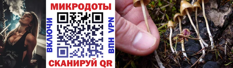 Галлюциногенные грибы GOLDEN TEACHER  Вязники 